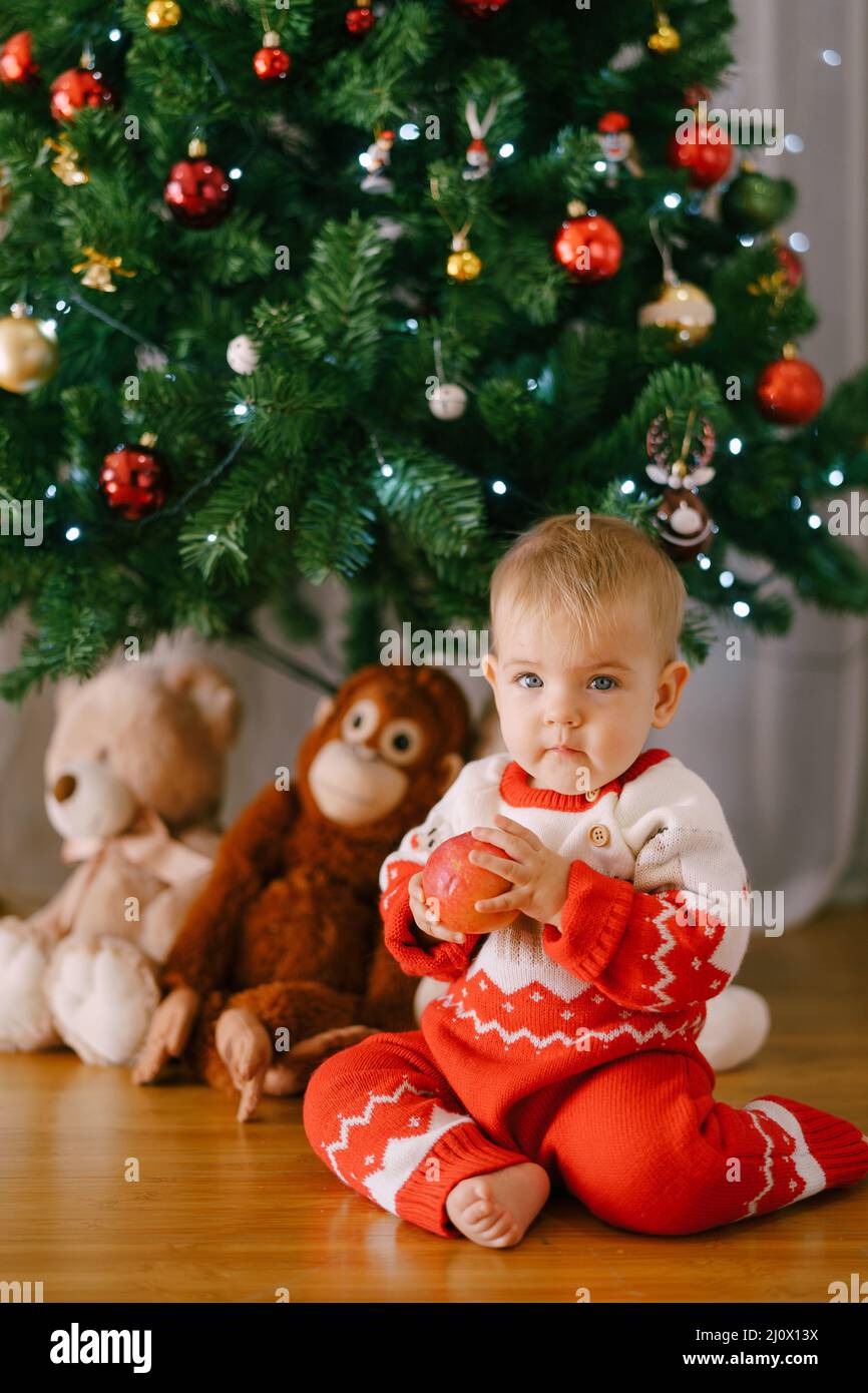 Kleinkind in einem rot-weißen Weihnachts-Einteiler hält Ein Apfel vor einem Weihnachtsbaum Stockfoto