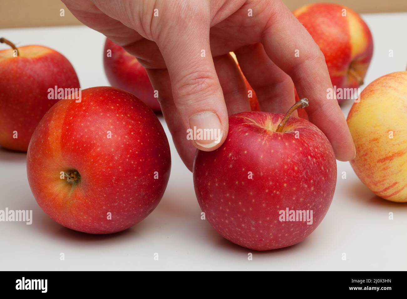 Rote Äpfel auf einem Tisch Stockfoto