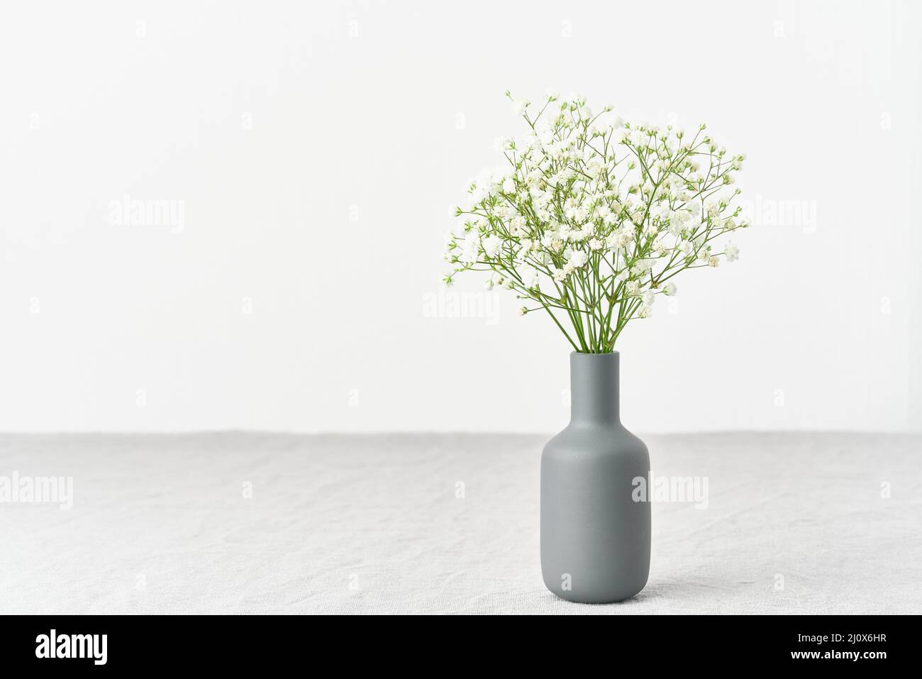 Gypsophila blüht in einer Vase. Weiches Licht, skandinavischer Minimalismus, Stockfoto