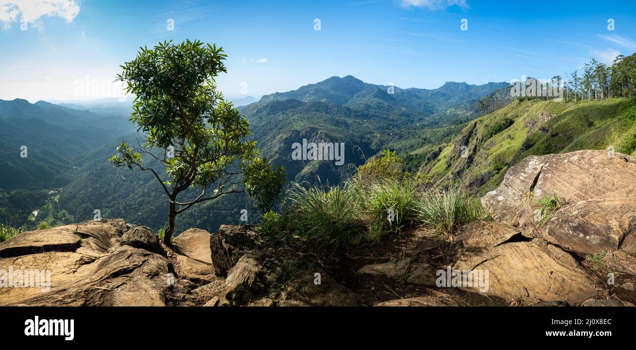 Sri Lanka Mountains Stockfoto
