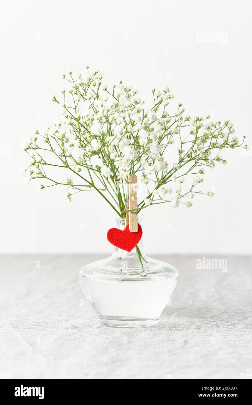 Valentinstag. Zarte weiße Blüten in Vase. Rotes Filzherz - Symbol der Liebe Stockfoto