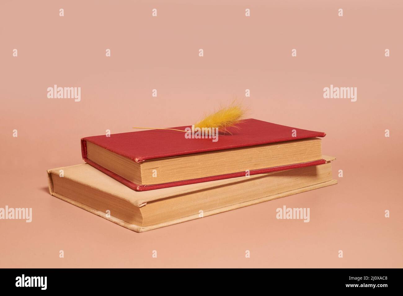 Ein Stapel alter, zerschlackter Bücher und getrockneter Lagurusblüten Stockfoto