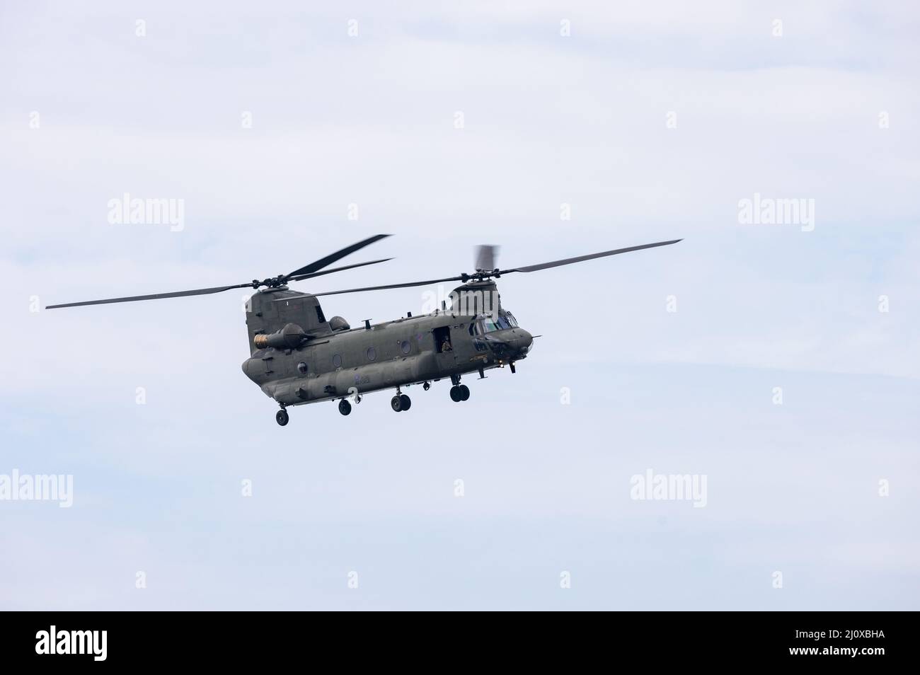 Chinook Hubschrauber fliegt tief in Snowdonia, Wales, Großbritannien Stockfoto