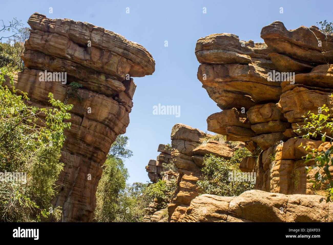 Blick von einer Schlucht umgeben von hohen, verwitterten Quartzite Cliffs in den Magaliesberg Mountains in Südafrika Stockfoto