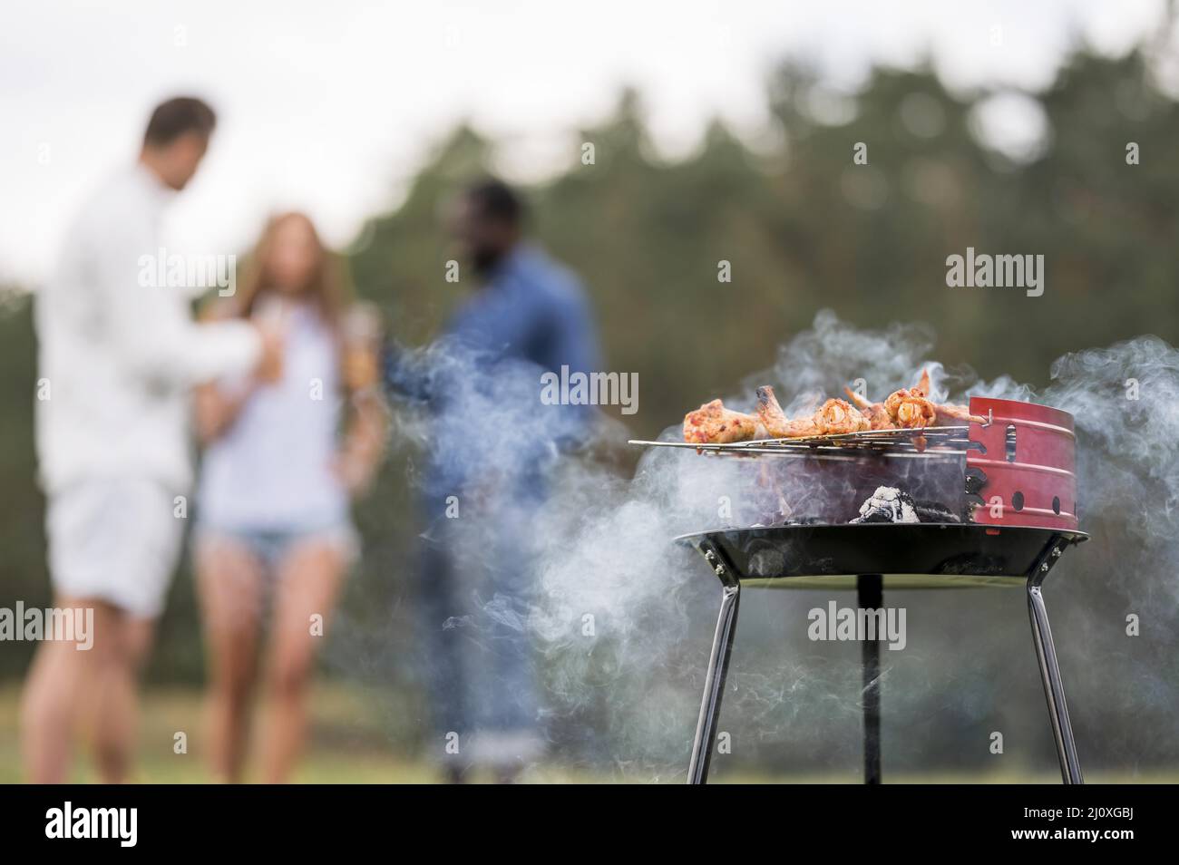 Barbecue Braten Essen mit Freunden unterhalten. Hochwertiges, schönes Fotokonzept Stockfoto