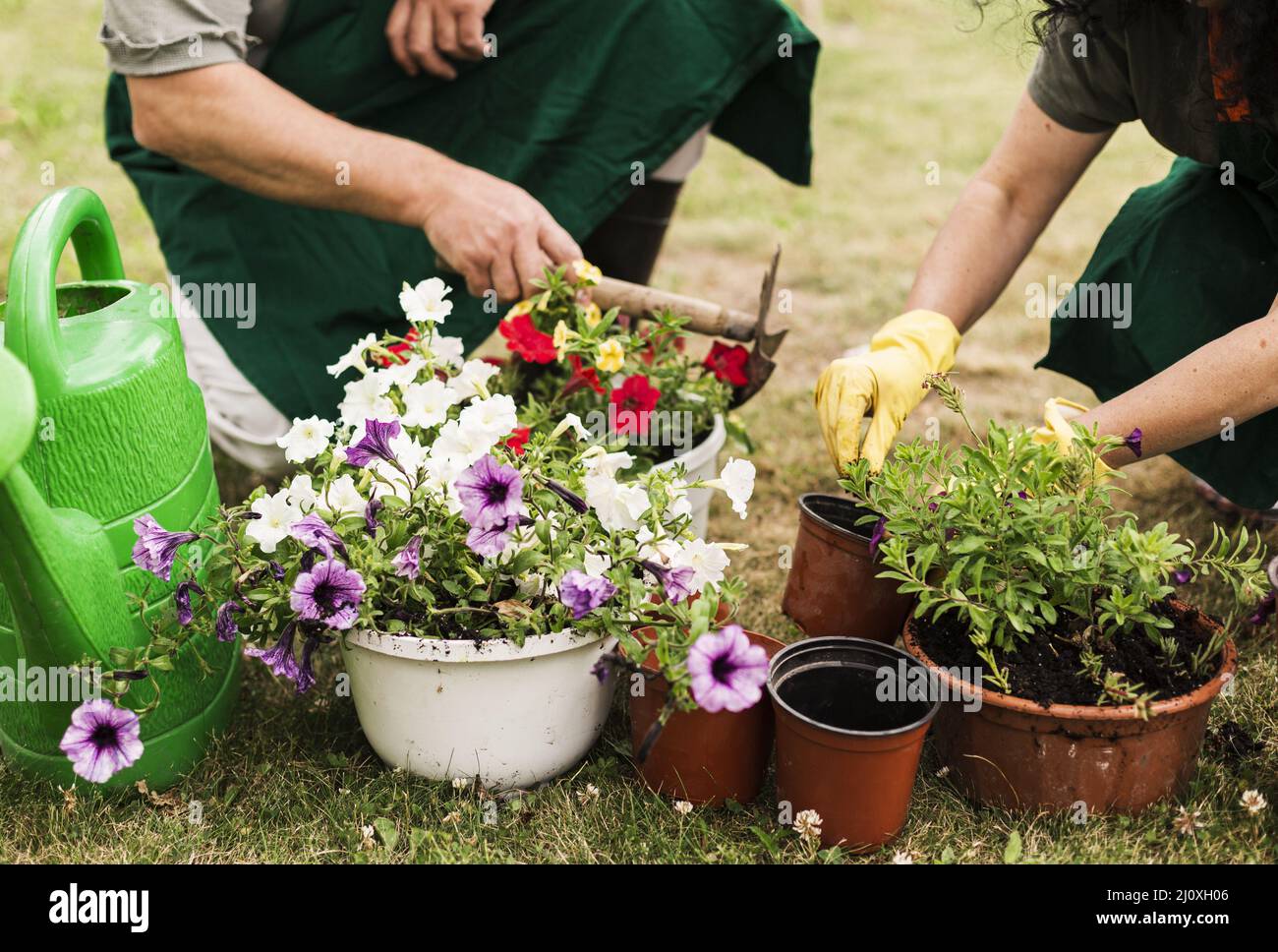 Ältere Paare, die sich um Blumen kümmern. Hochwertiges, schönes Fotokonzept Stockfoto