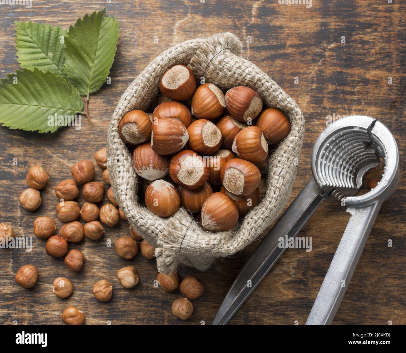 Nahaufnahme Ansicht NUTS Konzept Anordnung. Hochwertige Fotos Stockfoto