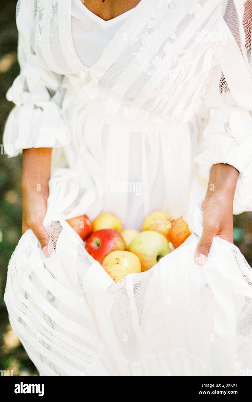 Frau in einem weißen Kleid hält reife Äpfel in ihrem Saum Stockfoto