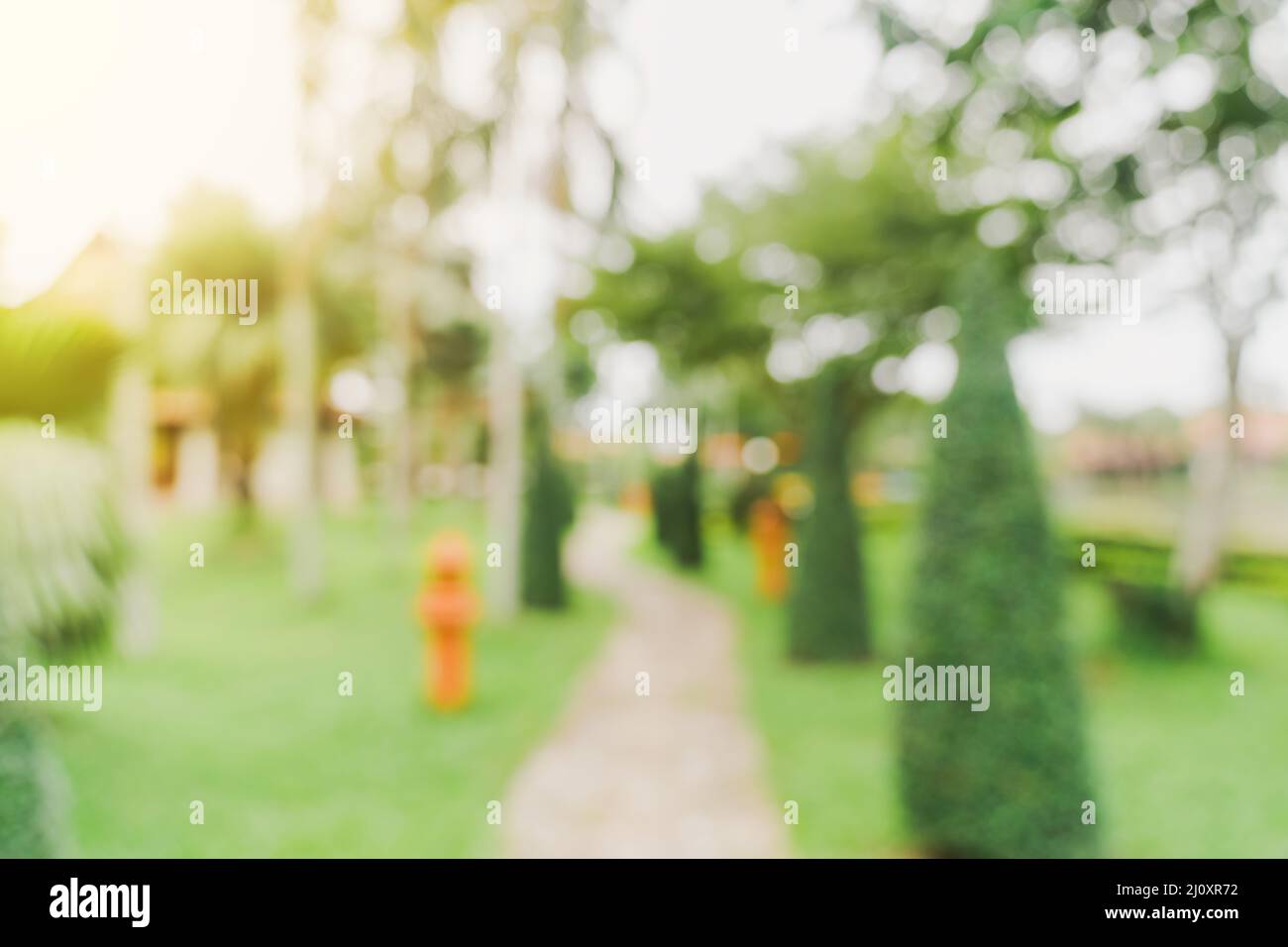 Defokussierte Bokeh und verwischen Hintergrund von Gartenbäumen in Sonnenlicht mit vintage getönten. Stockfoto