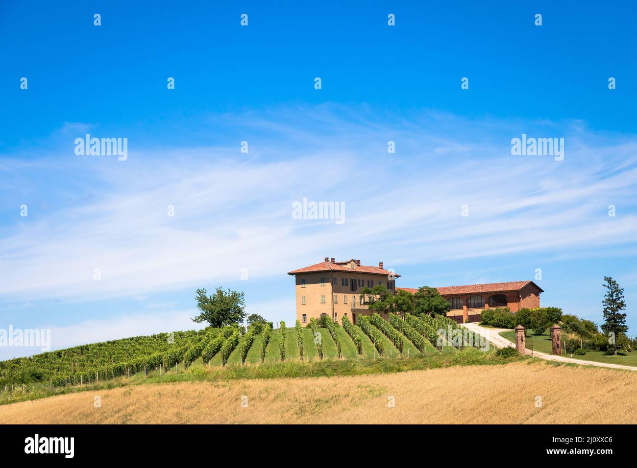 Piemont Hügel in Italien mit landschaftlich reizvoller Landschaft, Weinbergfeld und blauem Himmel Stockfoto