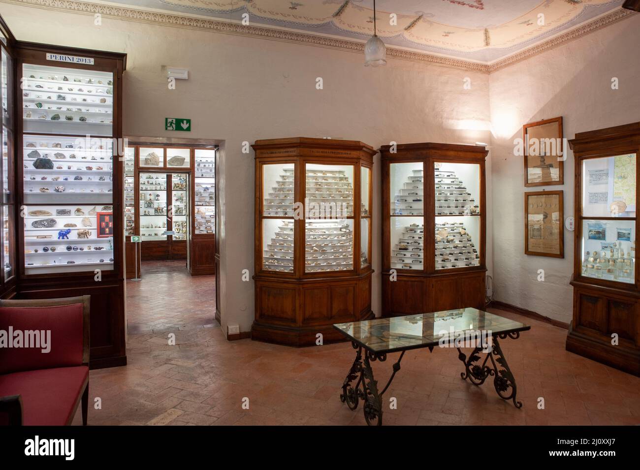 Siena, Italien - 2022. März 10: Fossiliensammlung im Naturkundemuseum „Accademia Fisiocritici“. Stockfoto