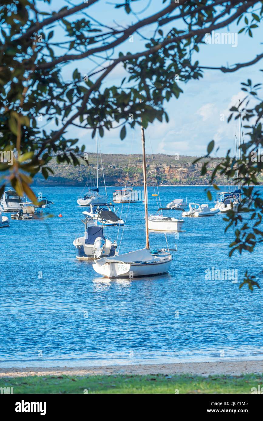 Boote, die in der Sommersonne am späten Nachmittag am Balmoral Beach im Hafen von Sydney, Australien, festgemacht wurden Stockfoto