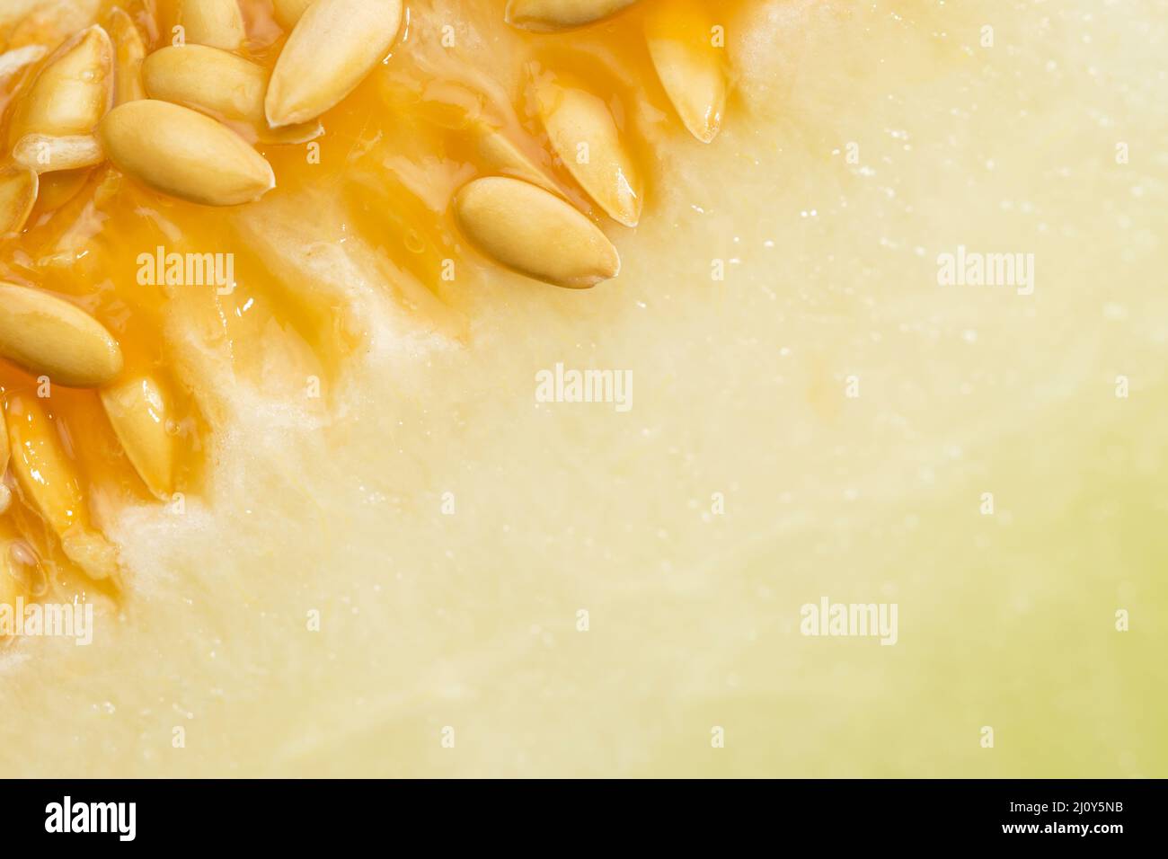 Honigmelonen-Samen. Hochwertige Fotos Stockfoto