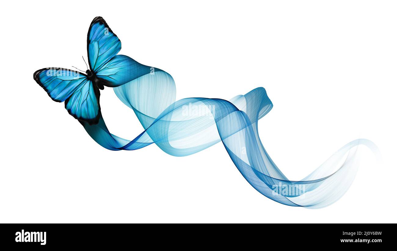 Leuchtend Blauer Schmetterling Stockfoto