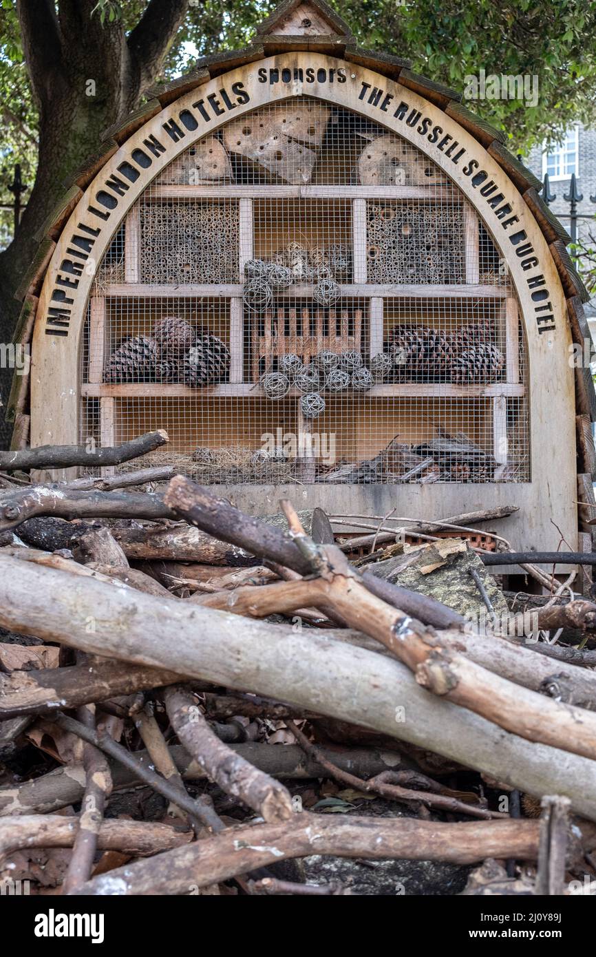 Bug Hotel Gesponsert Von Imperial London Hotels - Russell Square, Bloomsbury, London Stockfoto
