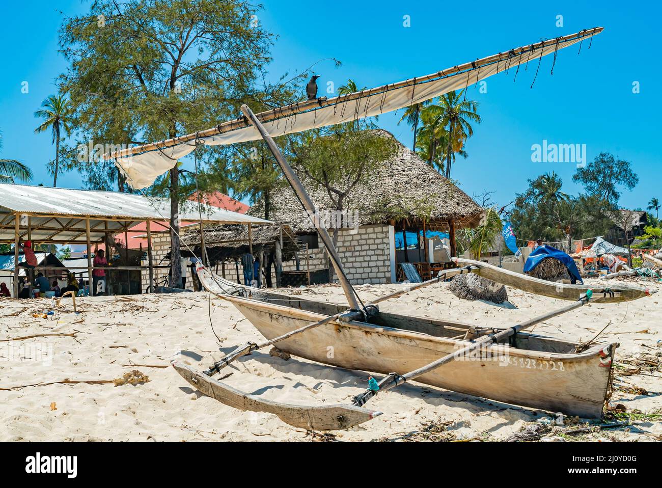 Krähen Sie auf einem Mast des Fünfschiffes Sansibar Island, Tansania Stockfoto