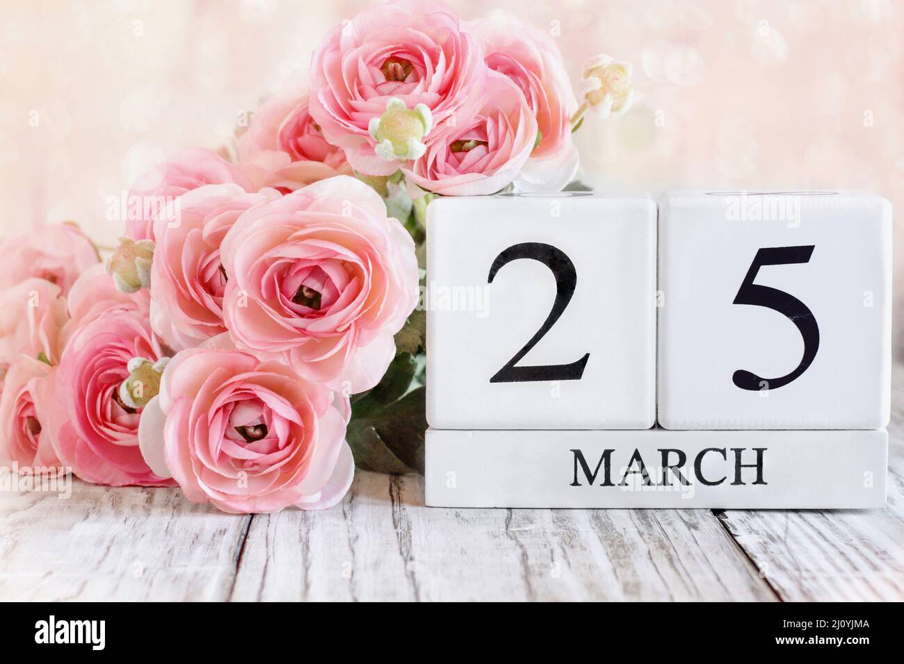 Kalendarblöcke aus weißem Holz mit dem Datum März 25.. Selektiver Fokus mit rosa Ranunculus im Hintergrund über einem Holztisch. Stockfoto