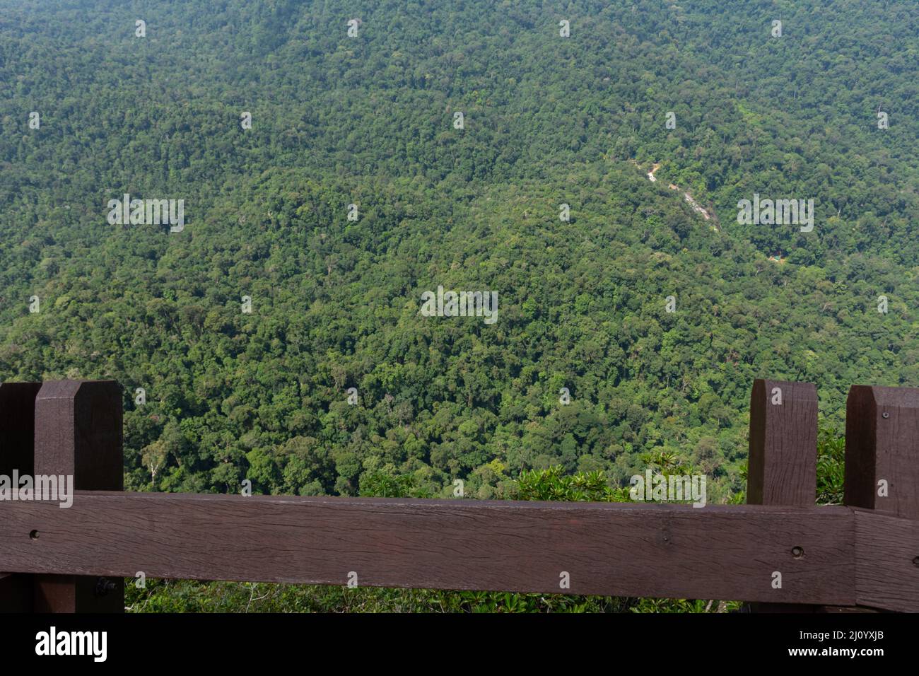 Blick auf den üppigen grünen Wald von der Aussichtsplattform auf dem Gipfel des Mount Gunung Machinchang auf der Insel Langkawi, Kedah, Malaysia. Stockfoto