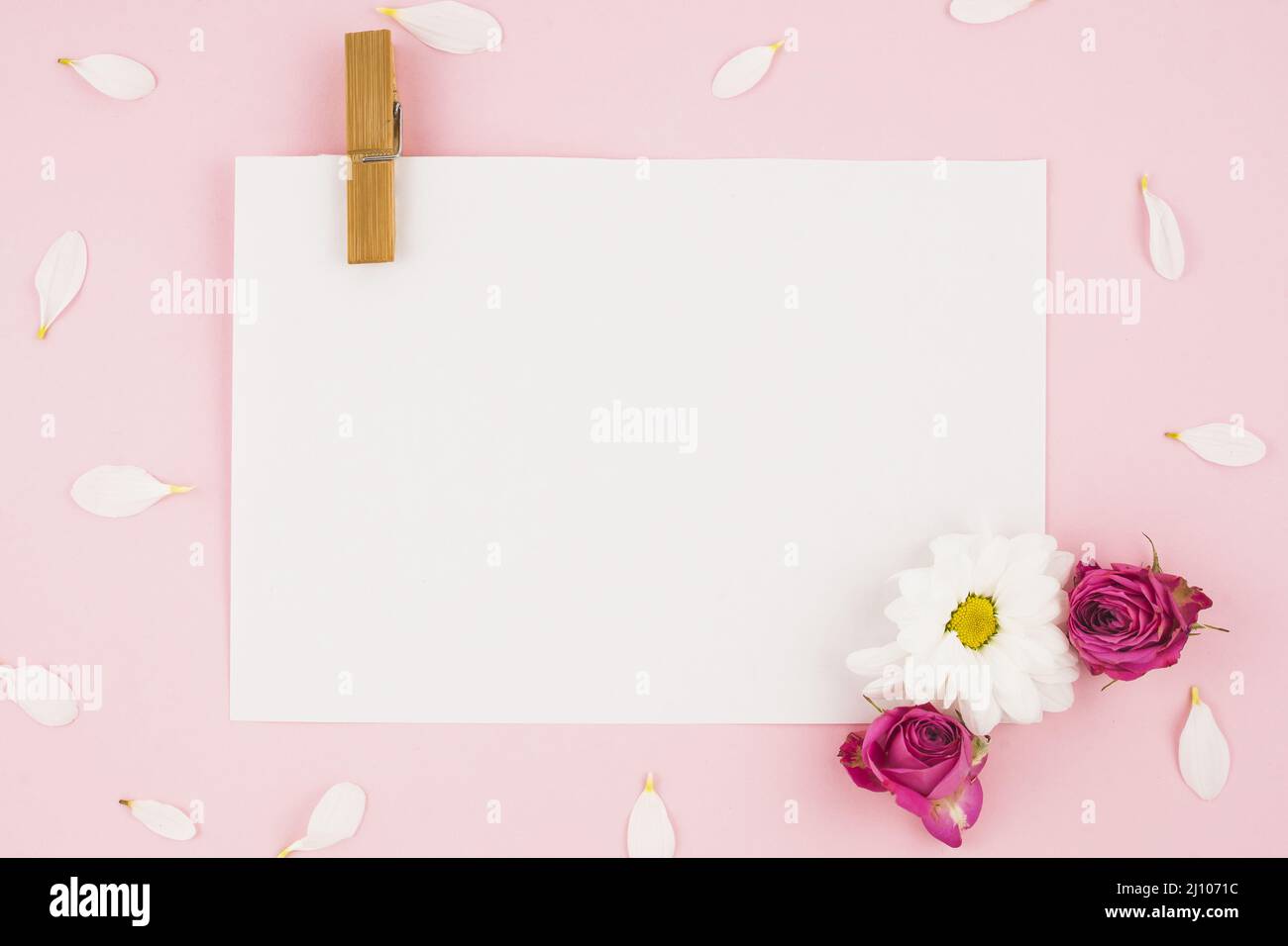 Blankes weißes Papier mit Wäscheklammern Blumen rosa Hintergrund Stockfoto