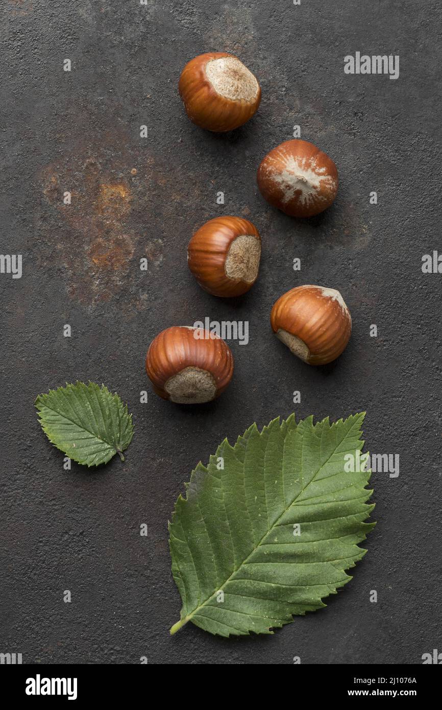 Nahaufnahme Ansicht NUTS Konzept Anordnung Stockfoto