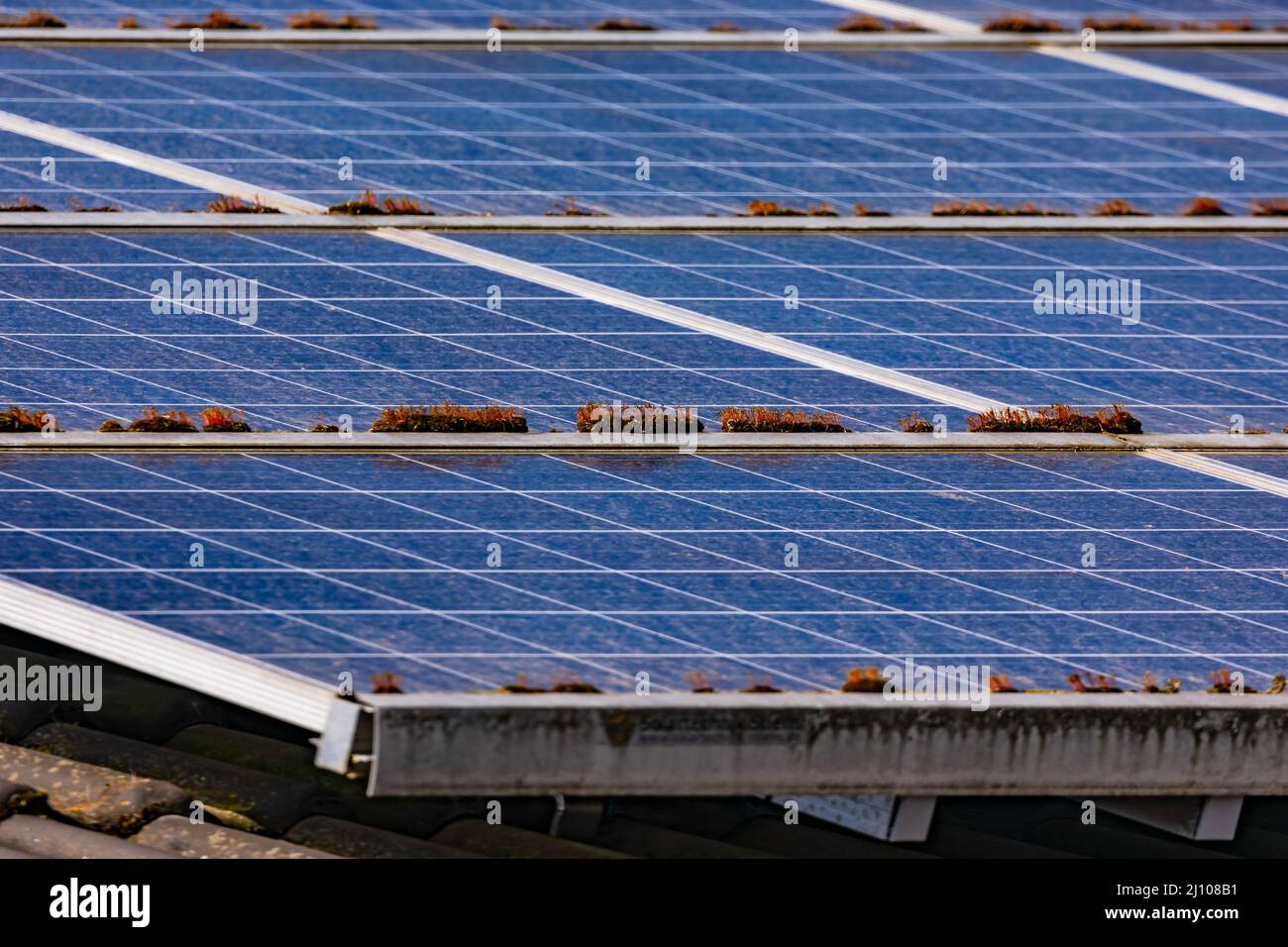 Erneuerbare Energieerzeugung durch PV-Module auf dem Dach von Privathäusern Stockfoto