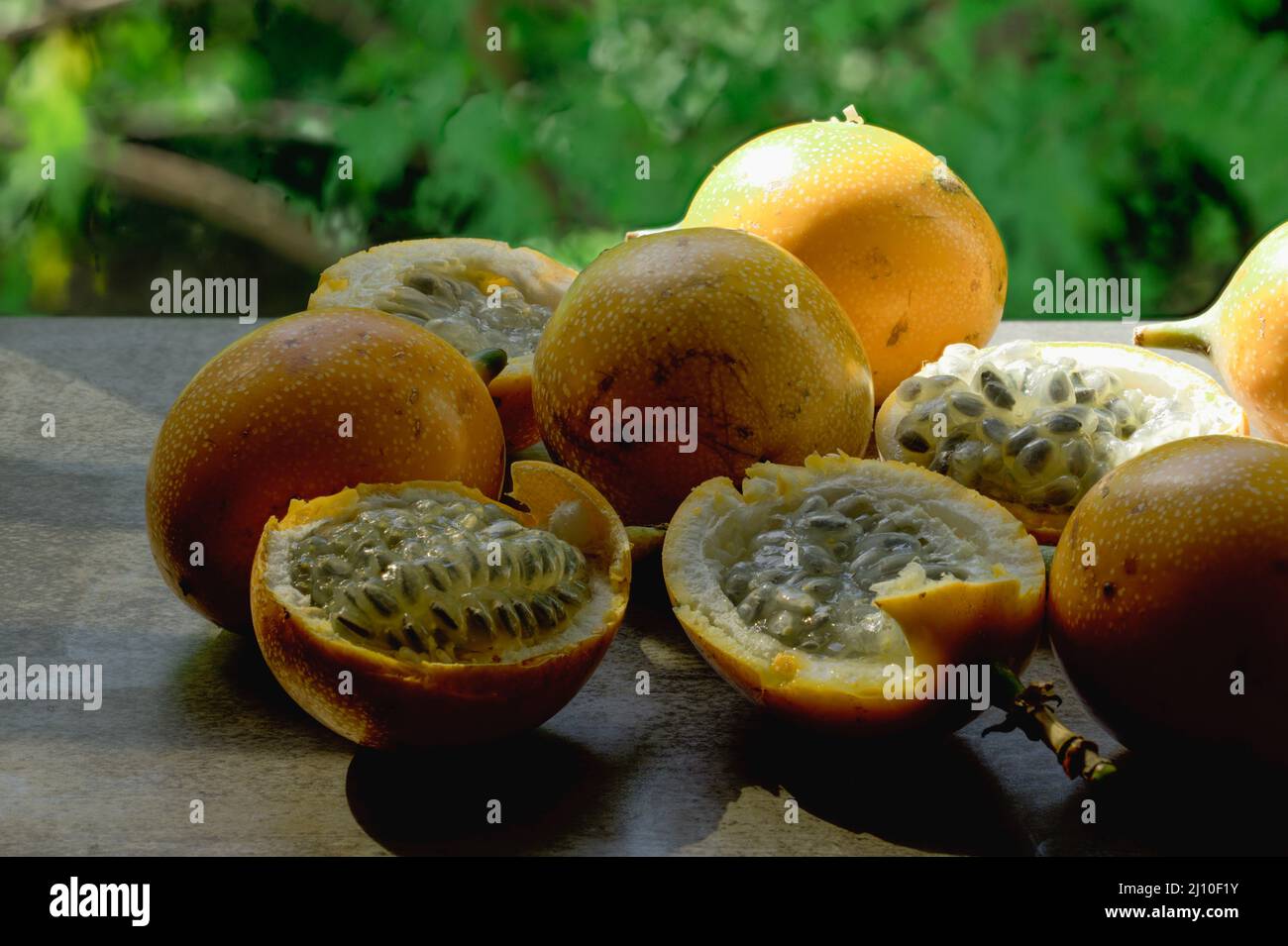 Das Foto zeigt eine exotische Frucht aus den Tropen. Die tropische Frucht wird Granadilla oder süße Passionsfrucht genannt. Granadilla ist orange in der Farbe wi Stockfoto