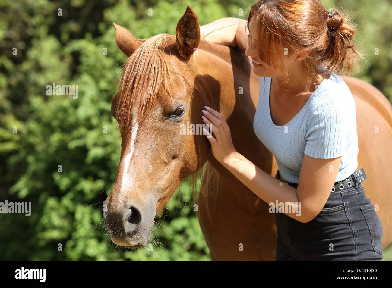 Glückliche Frau streichelt ein schönes Pferd auf einem Bauernhof Stockfoto