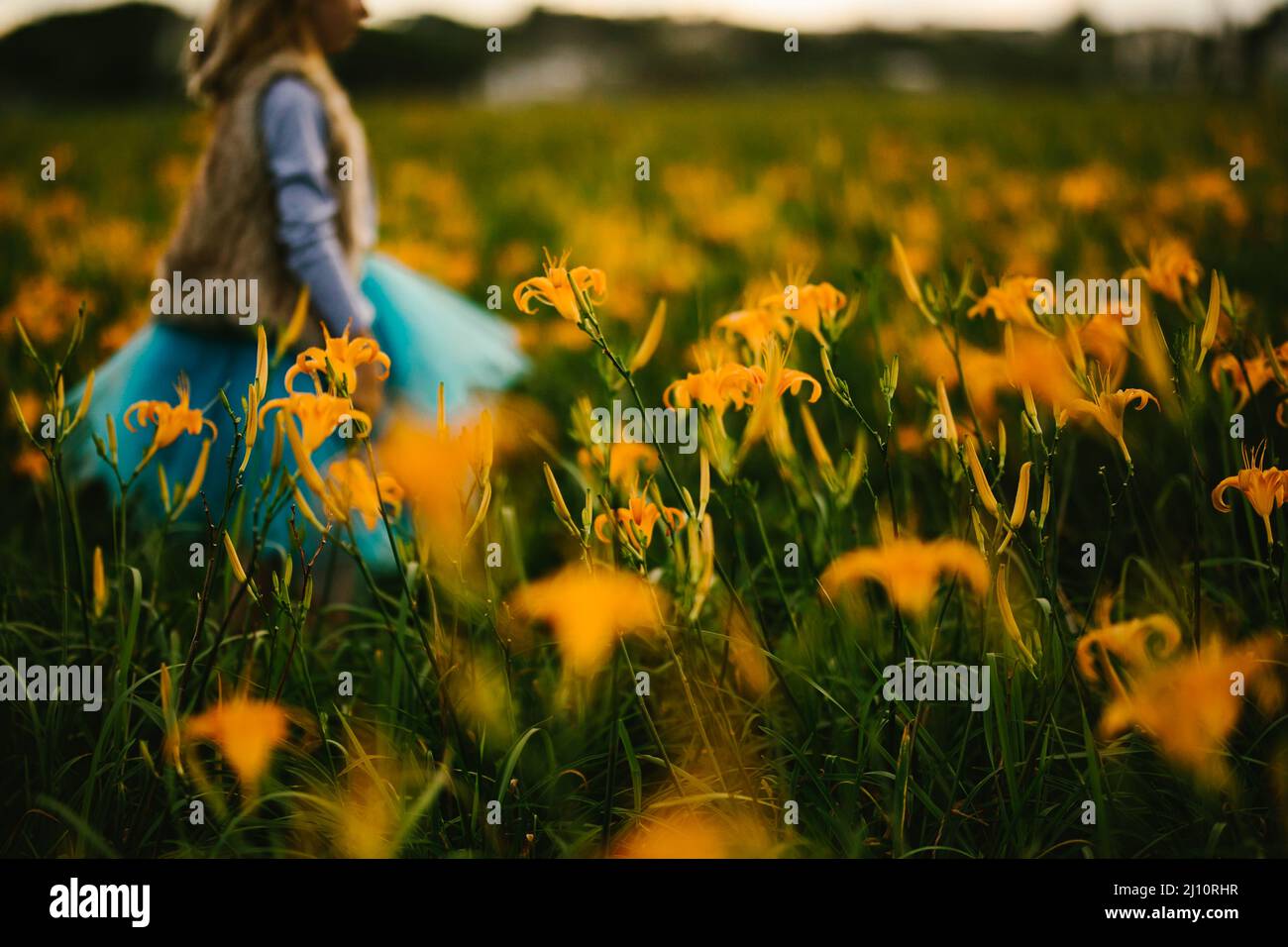 Mädchen geht durch Herbst orange Lilie Blumenfeld Stockfoto