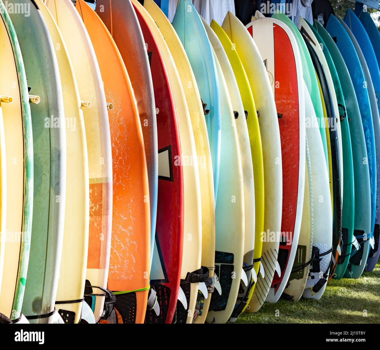 Bunte Surfbretter stehen auf einem Board Rack Stockfoto