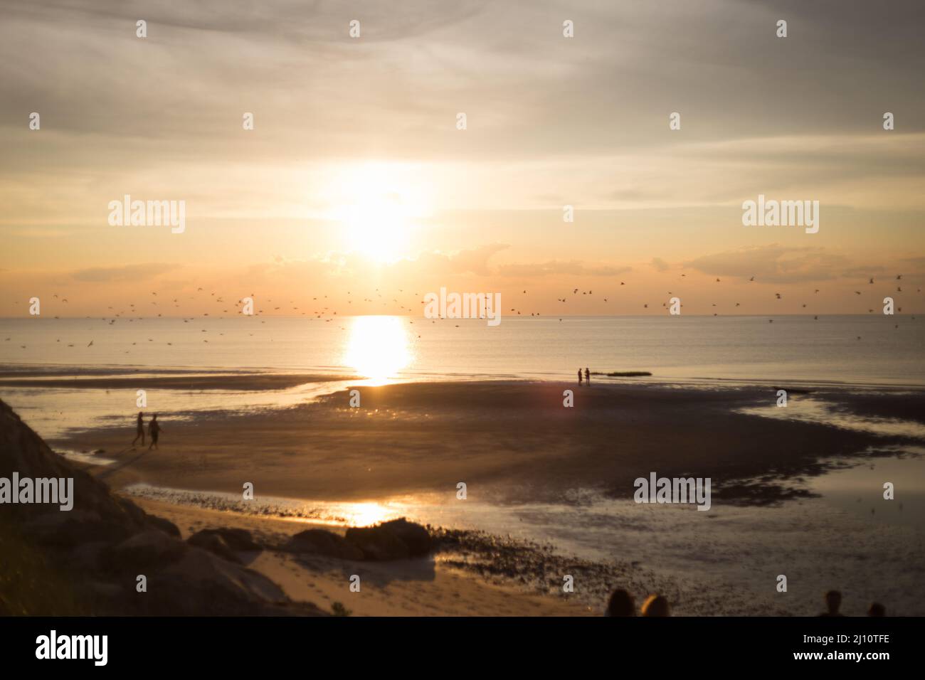 Sonnenuntergang über Cape Cod Bay mit Möwen, die darüber fliegen und Menschen gehen Stockfoto