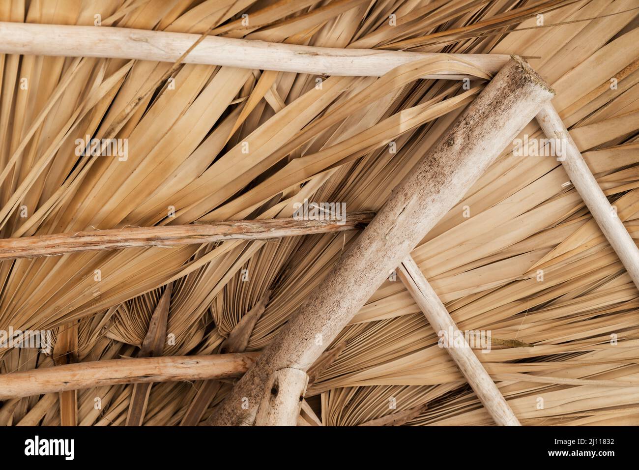 Innenstruktur des Palmendachs, Rahmen aus unfarbigen Trägern und Palmblättern Stockfoto