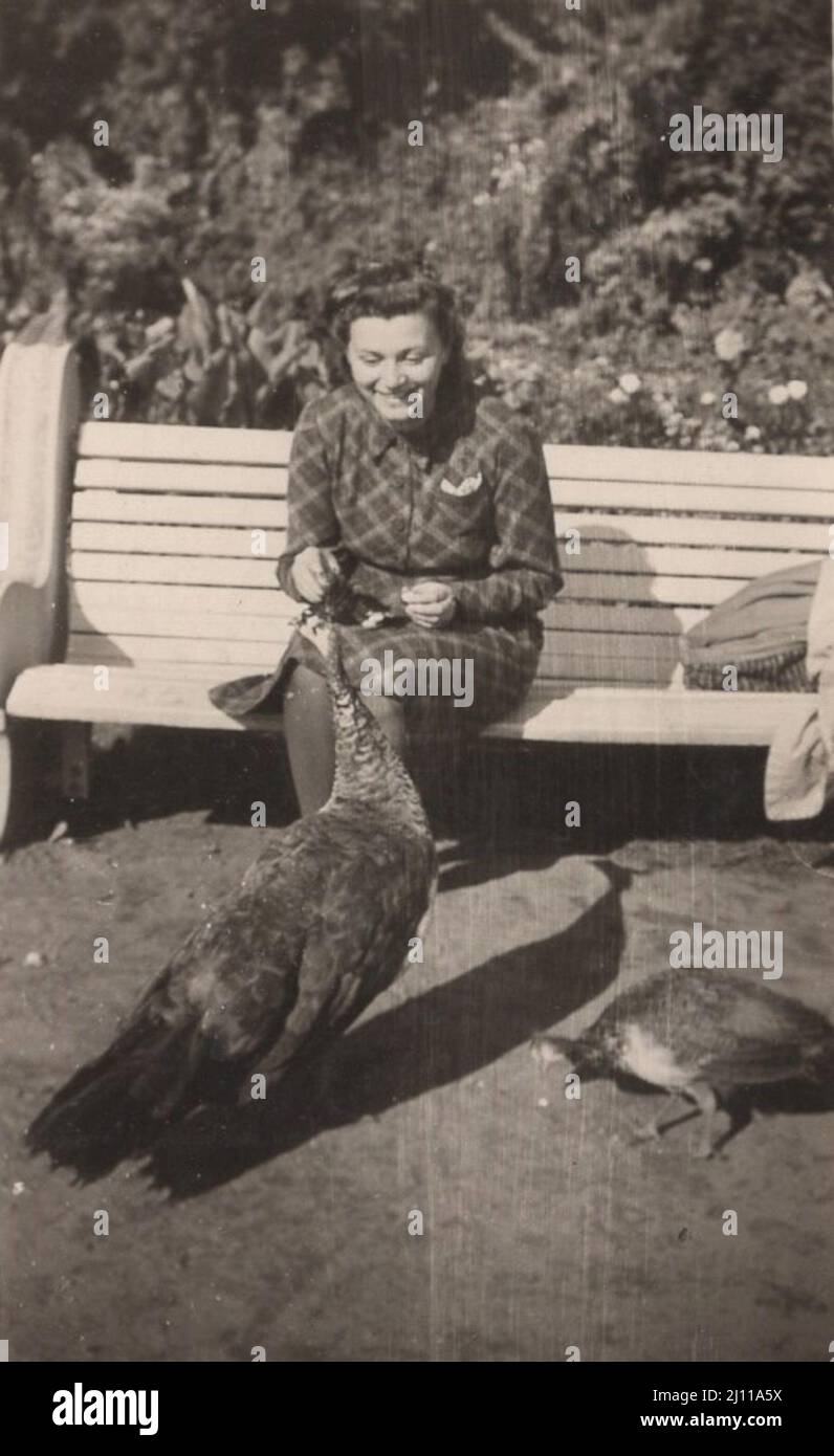Vintage Zoo Foto: Junge glücklich lächelnde Dame füttert einen Pfau am 1930s. Stockfoto
