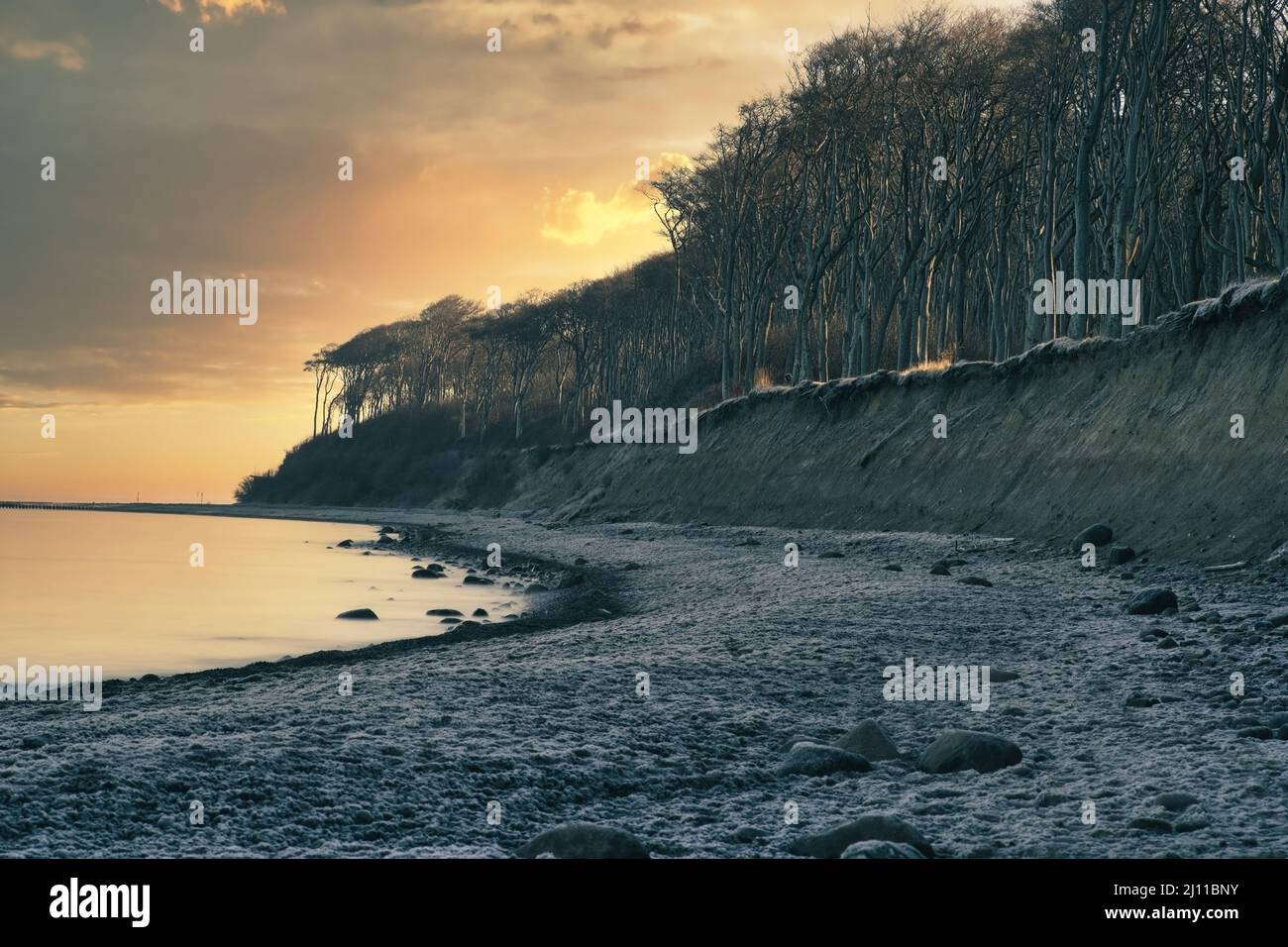 sonnenaufgang im Geisterwald in nienhagen, ostsee deutschland im Winter Stockfoto