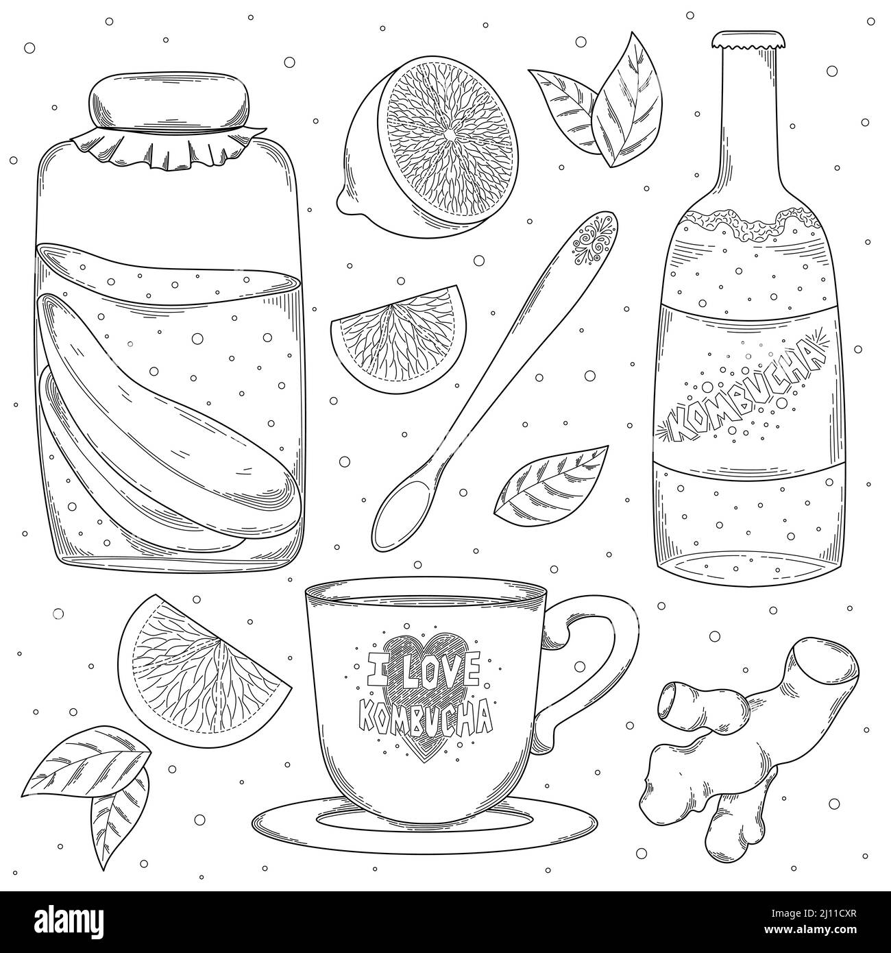Hausgemachte Bio-Kombucha Tee-Set isoliert auf weißem Hintergrund. Handgezeichnetes Glas, Tasse, Kombucha-Teeflasche mit Zitronen- und Ingwerlinie, Kunstvektor Stock Vektor