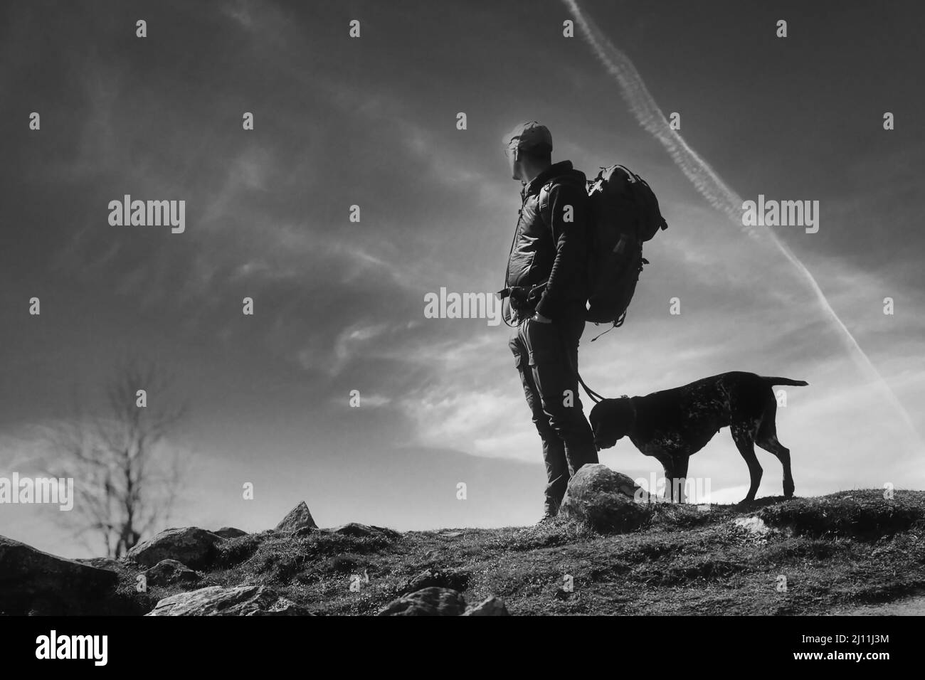 Mann mit Jagdhund, der in den Himmel blickt Stockfoto
