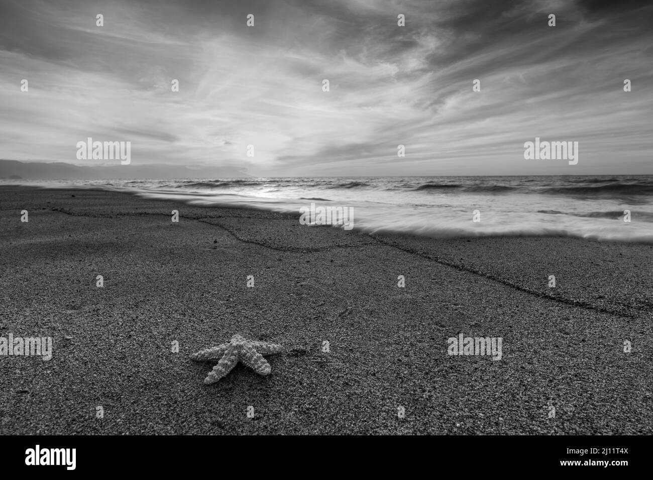 Seesterne Ozeanlandschaft mit Einem detaillierten sandgekräuselten Vordergrund im hochauflösenden Schwarzweiß-Bildformat Stockfoto