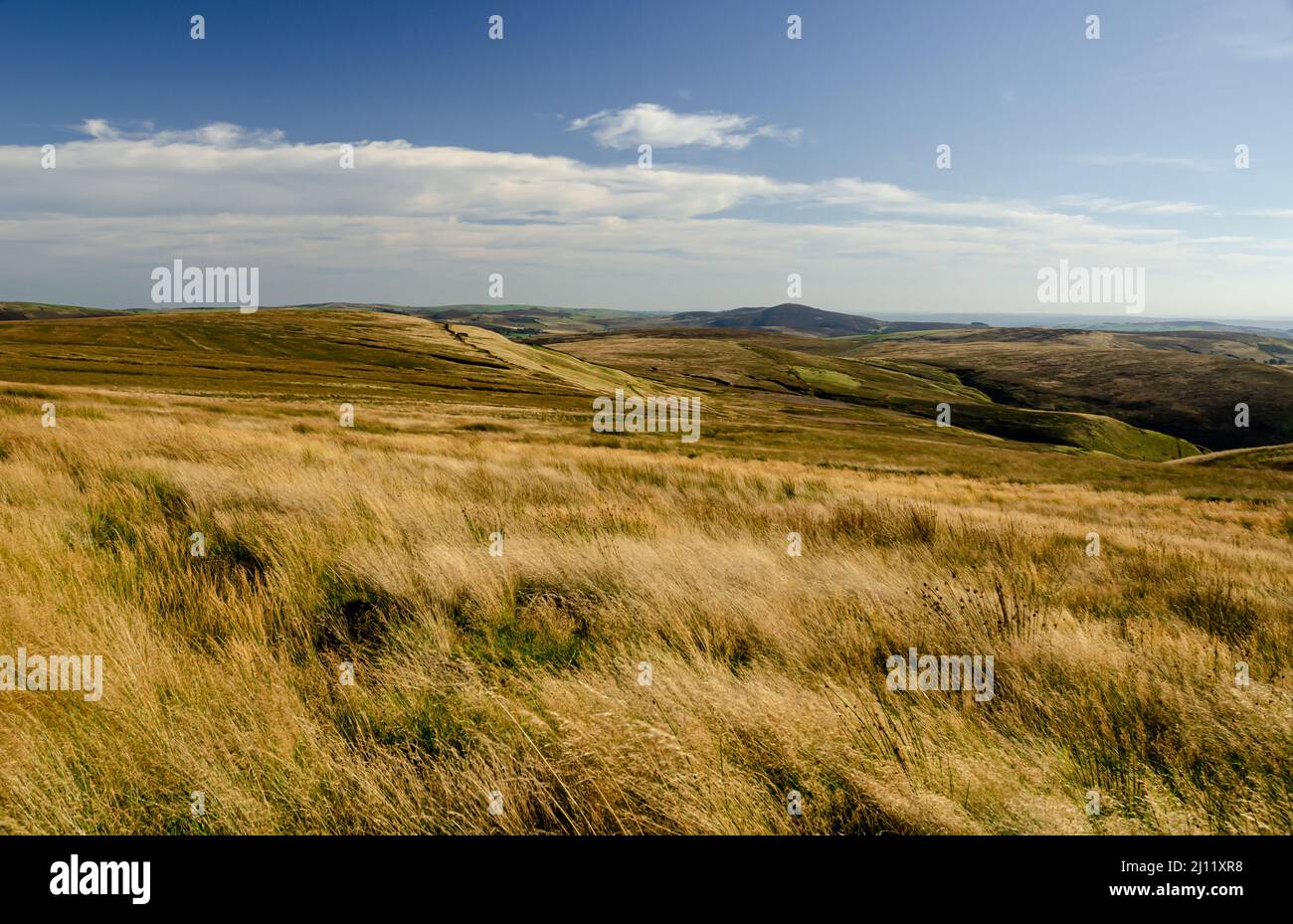 Grasbewachsene Moorlandschaft im High Peak Stockfoto