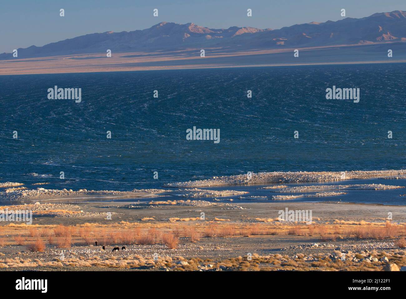 Walker Lake, Walker Lake Recreation Area, Stillwater Field Office Bureau of Land Management, Nevada Stockfoto