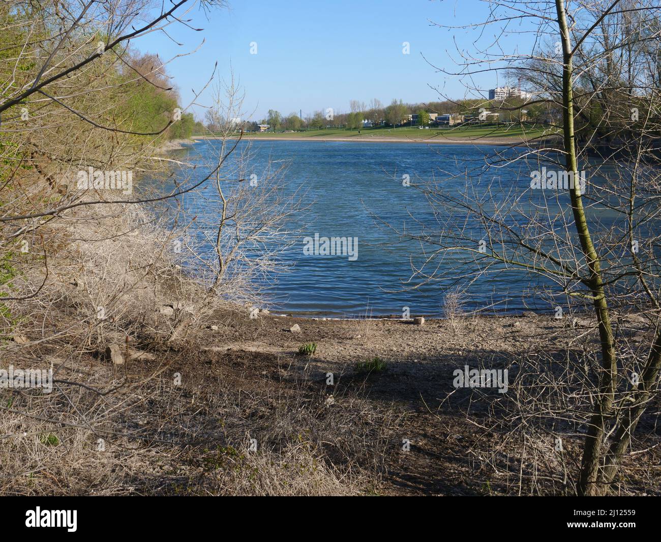 Fischteich umgeben von meist blattlosen Bäumen und Sträuchern. Auf dem gegenüberliegenden Ufer Wiesen und lose Wohngebäude. Düsseldorf nahe dem Rhein Stockfoto