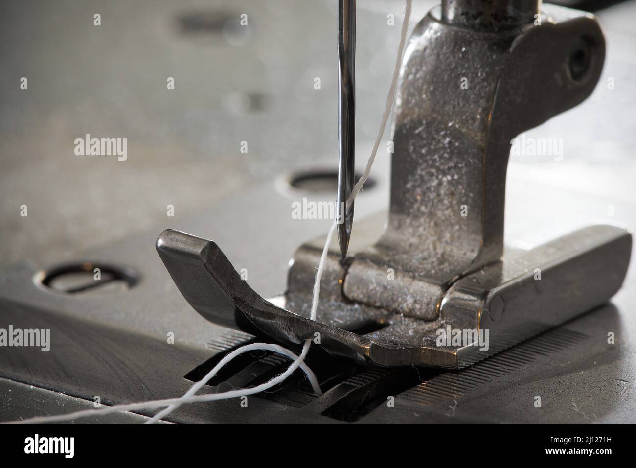 Fuß der Industrienähmaschine mit Faden und Nadel Stockfoto