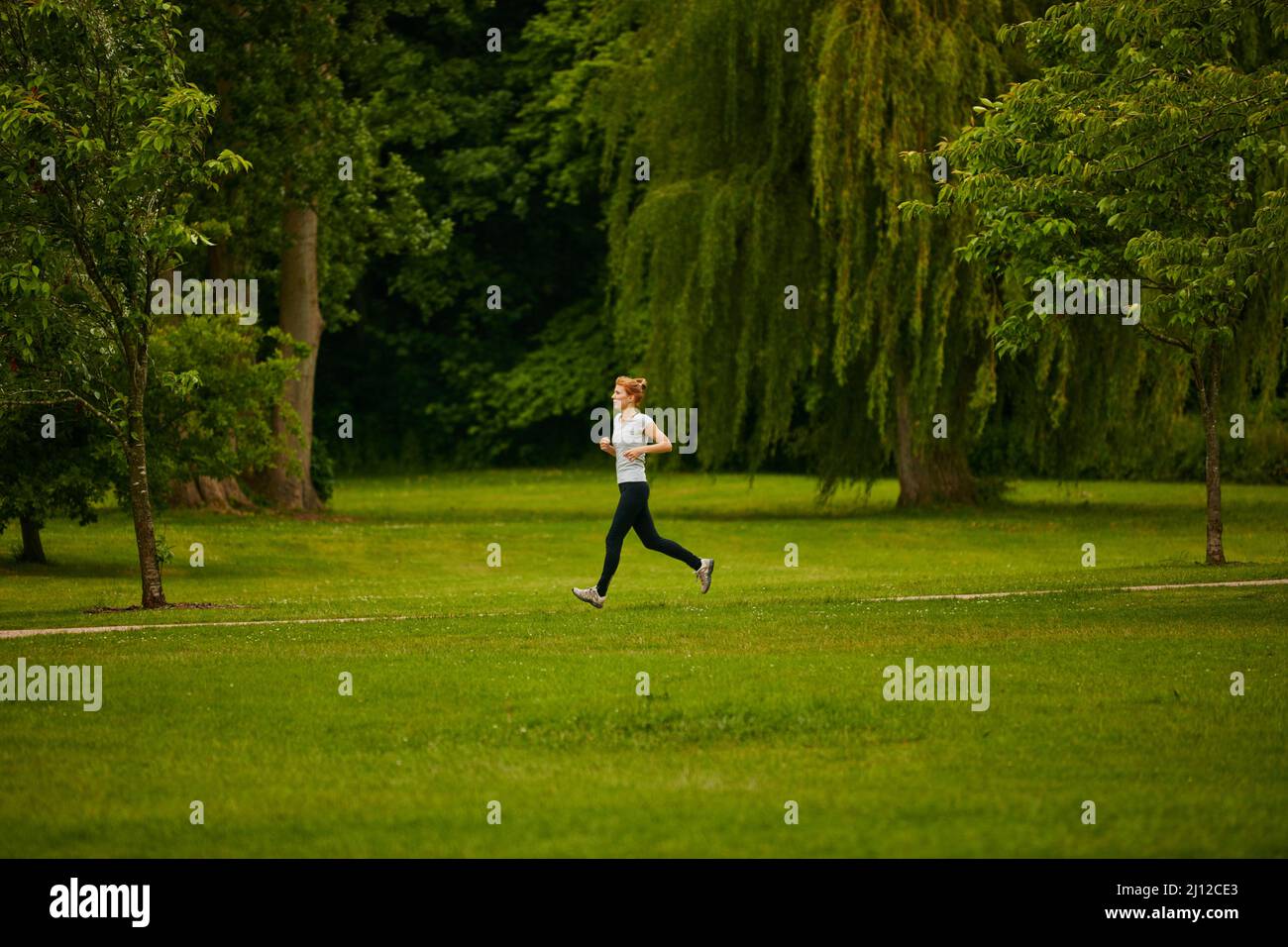 Einzelläufer. Aufnahme einer Frau, die in einem Park joggt. Stockfoto