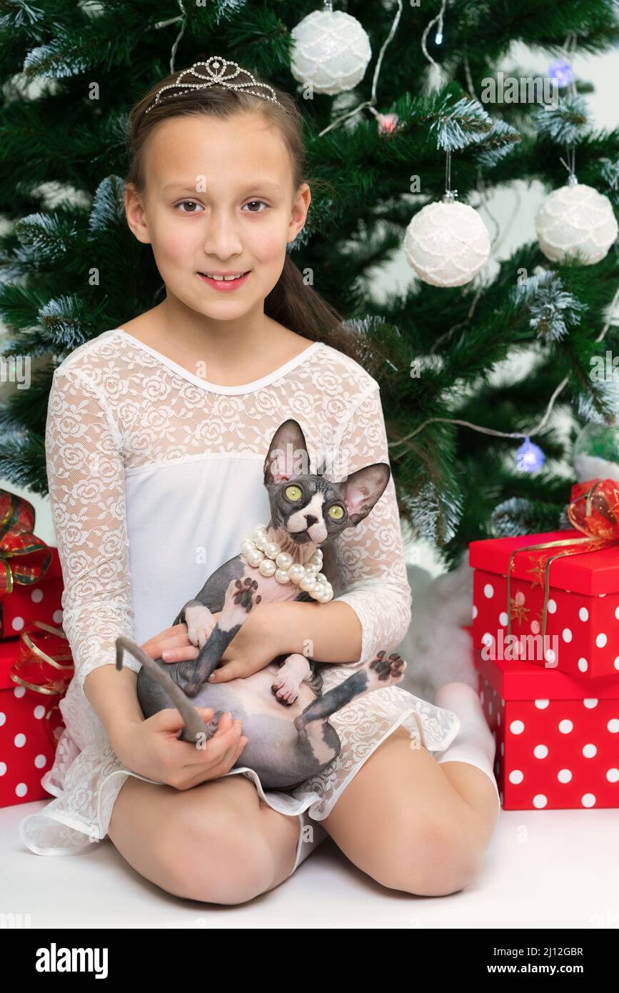 Kaukasisches Mädchen, das die häusliche Sphynx-Katze in der Nähe des Weihnachtsbaums hält, mit Geschenkschachteln mit roten Punkten an Silvester. Lächelndes, neun Jahre altes Kind Stockfoto