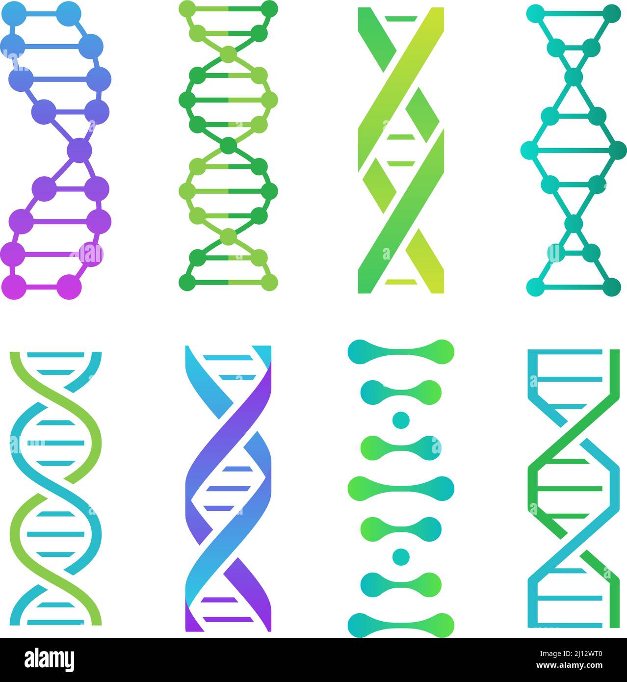 Bunte DNA-Symbole. Spiralförmige Molekülstruktur für die wissenschaftliche Forschung. Menschlicher genetischer Code mit Informationen Stock Vektor