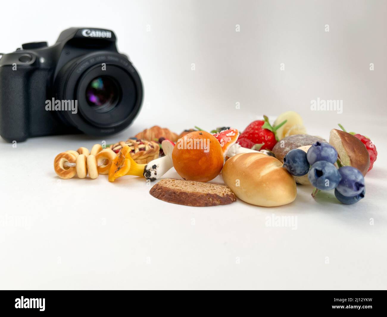 Breslau, Polen - 03.06.2022: Canon Kamera ist dabei, kleine Objekte zu fotografieren Stockfoto