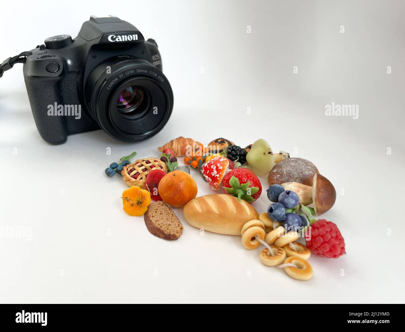 Breslau, Polen - 03.06.2022: Canon Kamera ist dabei, kleine Objekte zu fotografieren Stockfoto