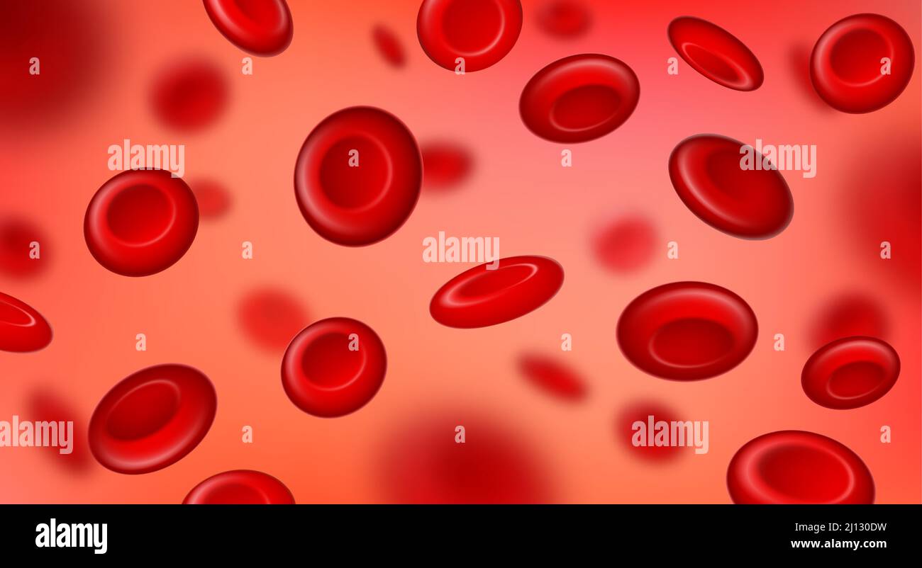 Rote Blutkörperchen fließen, Makroansicht Erythrozyten Hintergrund. Realistische Nahaufnahme der Blutkreisläufe. Hämatologie Medizin 3D Vektor-Konzept Stock Vektor