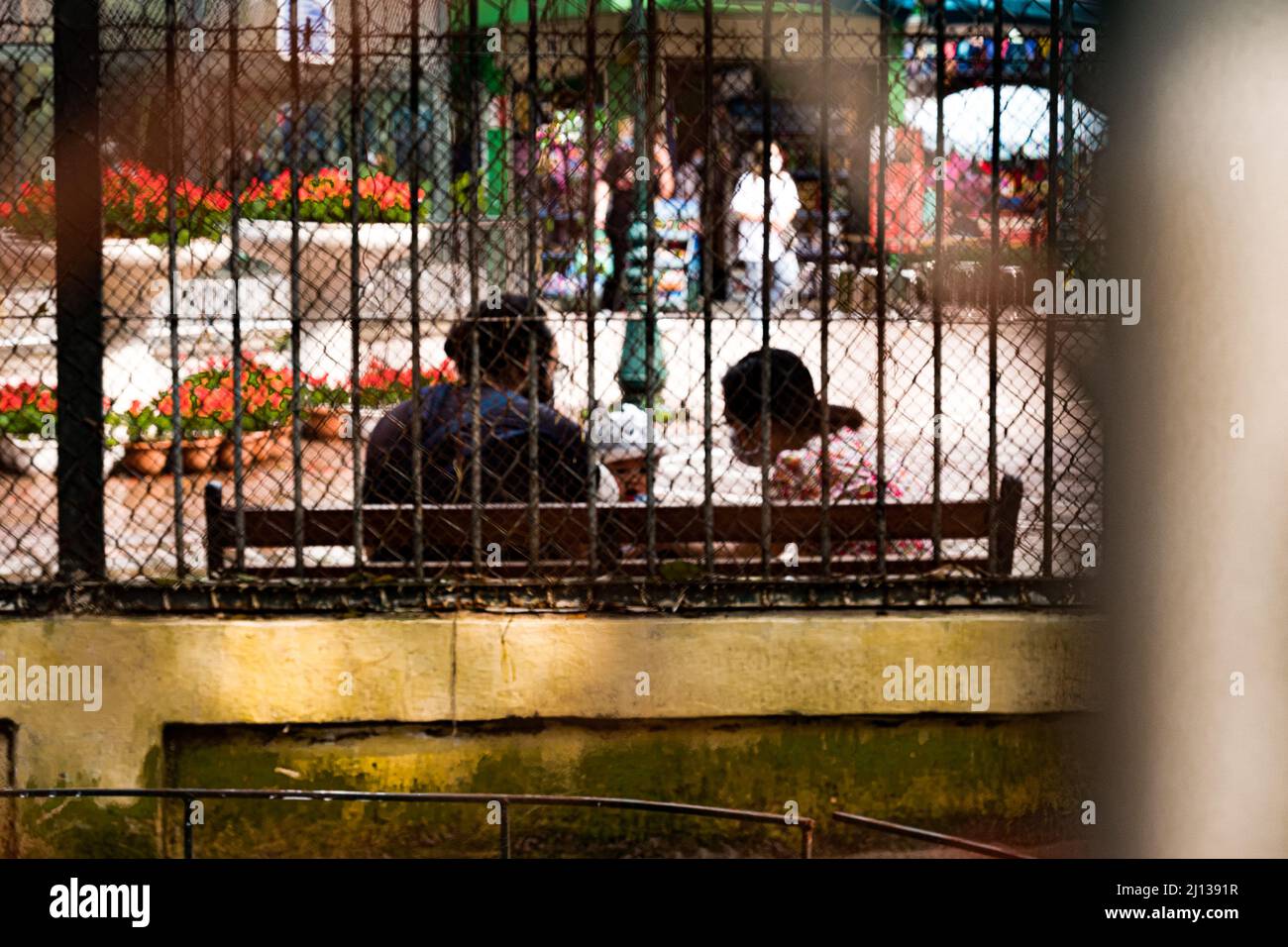 Was, wenn Menschen im Käfig sind, nicht Tiere. ư Stockfoto