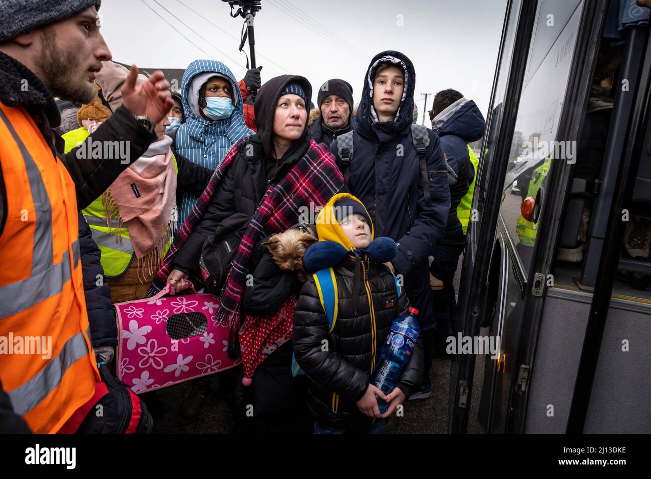 Ankunft von Flüchtlingen aus der Ukraine am polnisch-ukrainischen Grenzübergang in Medyka. Hier werden die Flüchtlinge mit warmen Speisen und Kleidung versorgt. Von hier aus werden sie per Bus zu großen Standorten oder Sammelunterkünften befördert. Ausländische Helfer bieten auch Reisen in andere europäische Länder an. Stockfoto