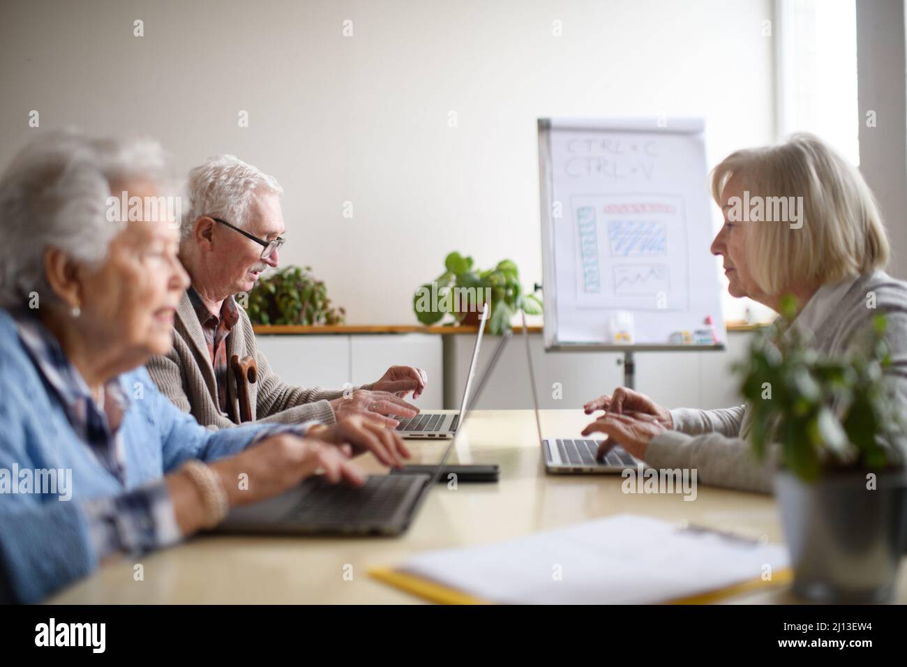 Seniorengruppe im Seniorenheim Lernen gemeinsam im Computerunterricht Stockfoto