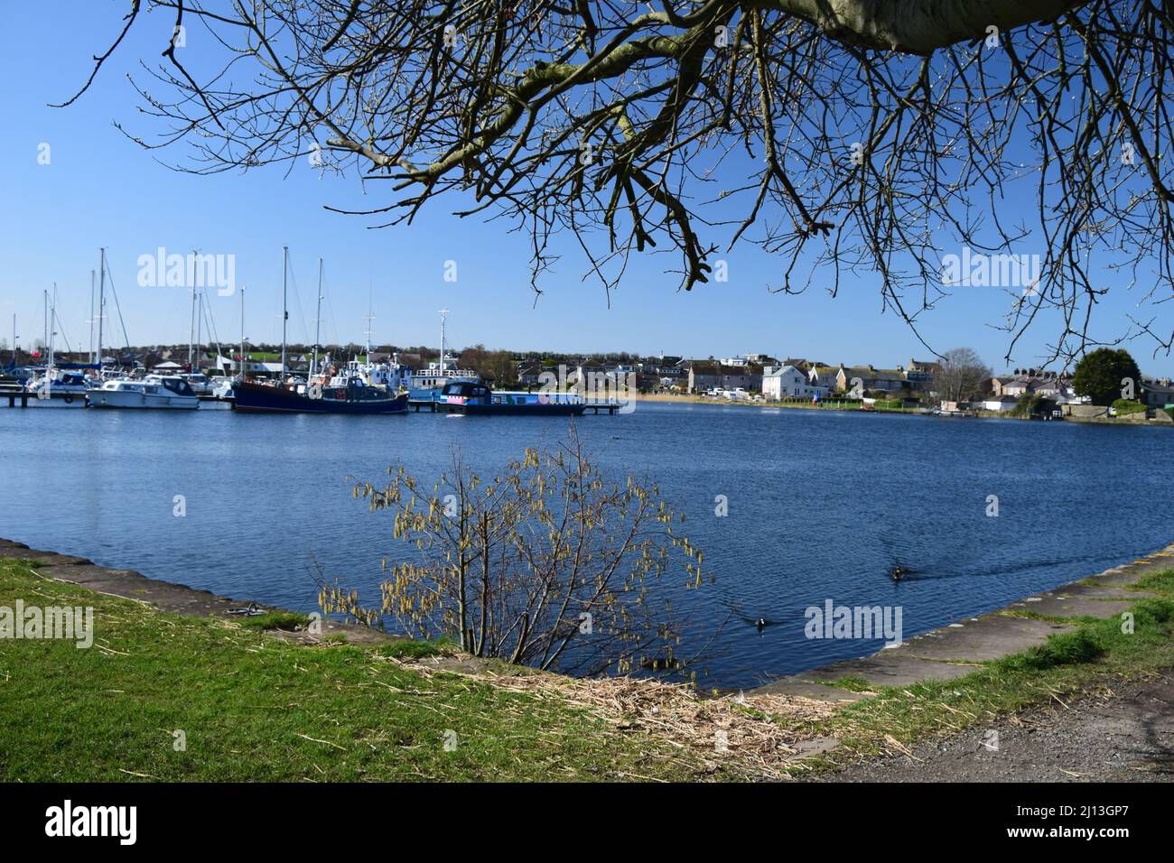 Ein Spaziergang im Frühling entlang der Mündung des Flusses Lune, der Glasson durch Conder Green und entlang der Strecke einer ehemaligen Eisenbahnstrecke einführt. Stockfoto